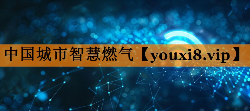 中国城市智慧燃气 中国城市智慧燃气