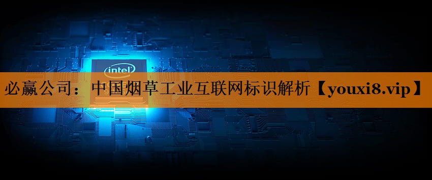 中国烟草工业互联网标识解析 中国烟草工业互联网标识解析