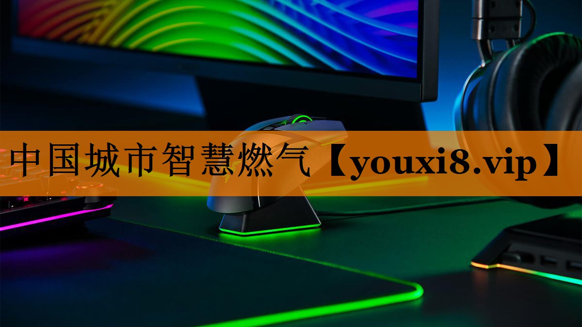 中国城市智慧燃气 中国城市智慧燃气