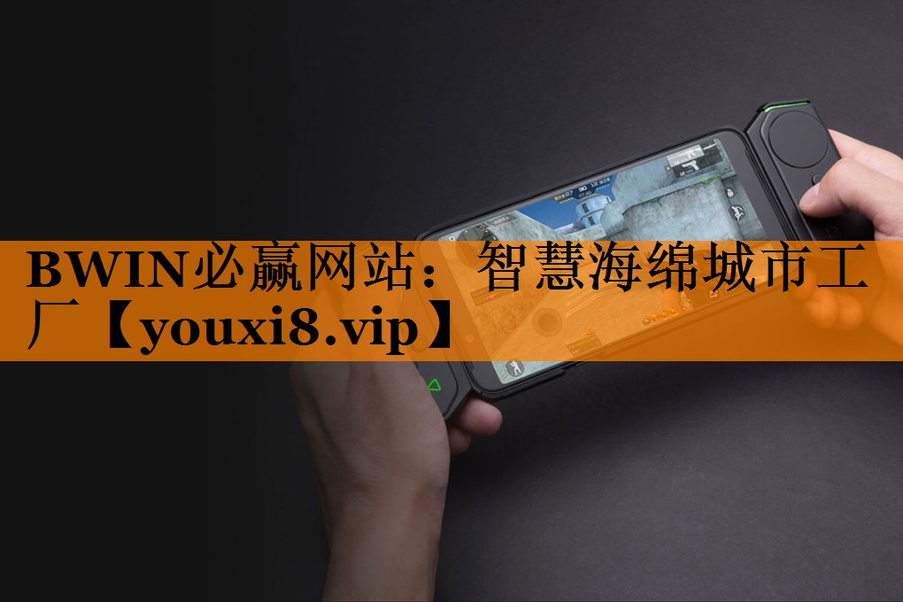 智慧海绵城市工厂 智慧海绵城市工厂