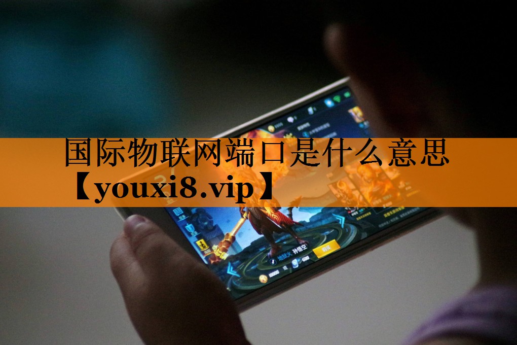 国际物联网端口是什么意思 国际物联网端口是什么意思