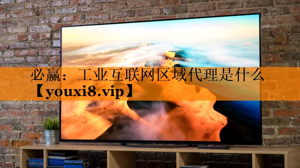 工业互联网区域代理是什么 工业互联网区域代理是什么