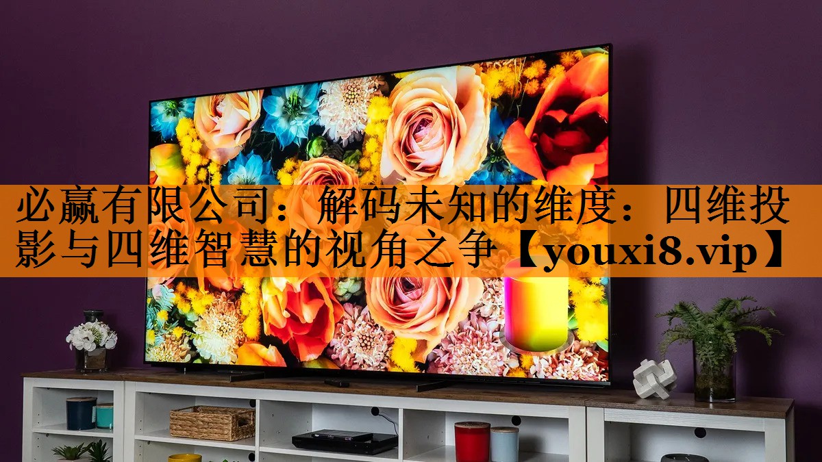 解码未知的维度:四维投影与四维智慧的视角之争 解码未知的维度:四维投影与四维智慧的视角之争