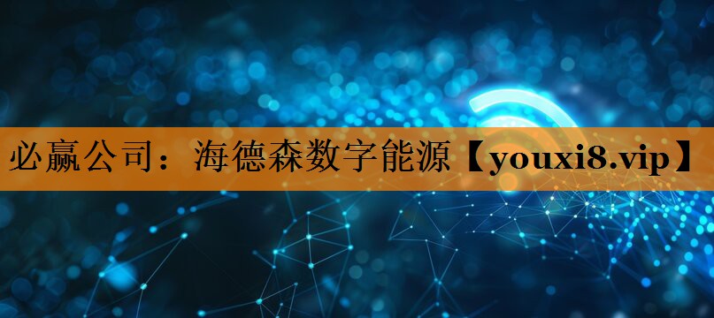 海德森数字能源 海德森数字能源