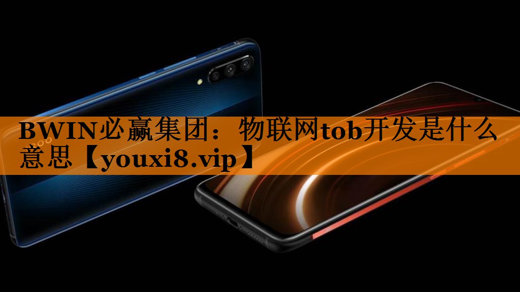 物联网tob开发是什么意思 物联网tob开发是什么意思