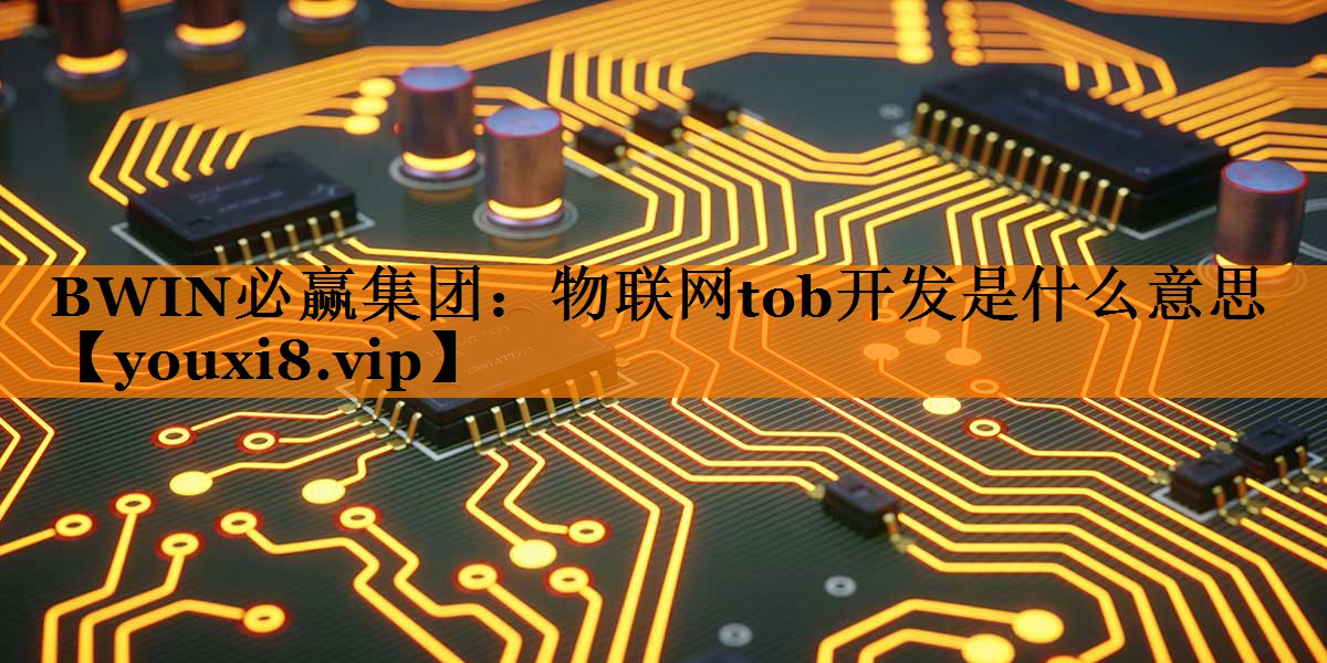 物联网tob开发是什么意思 物联网tob开发是什么意思