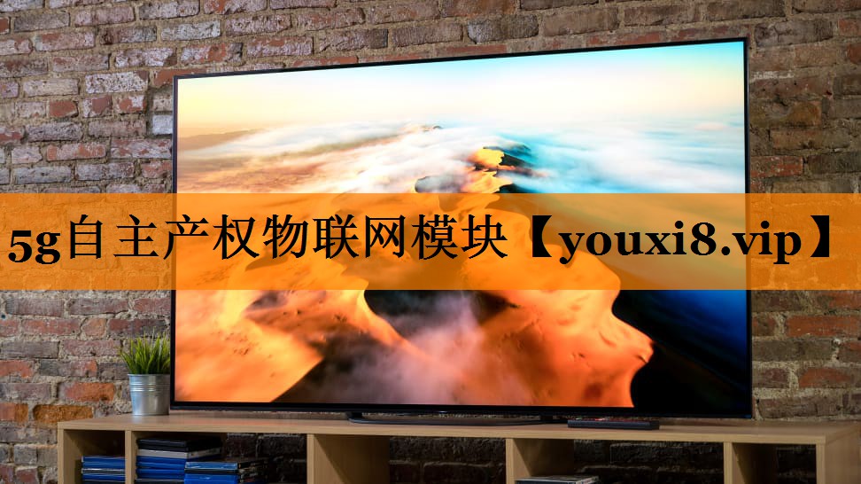 5g自主产权物联网模块 5g自主产权物联网模块