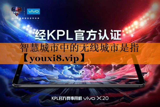 智慧城市中的无线城市是指 智慧城市中的无线城市是指