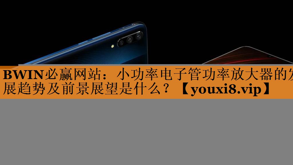 小功率电子管功率放大器的发展趋势及前景展望是什么? 小功率电子管功率放大器的发展趋势及前景展望是什么?