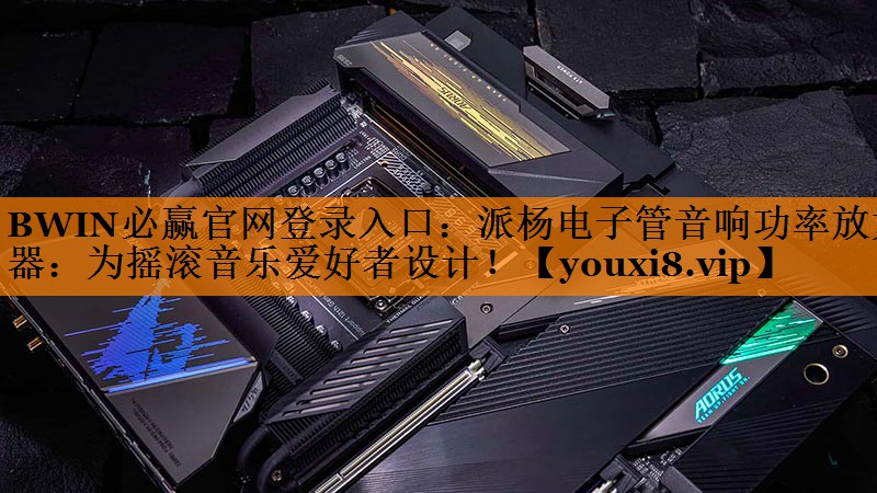 派杨电子管音响功率放大器:为摇滚音乐爱好者设计! 派杨电子管音响功率放大器:为摇滚音乐爱好者设计!