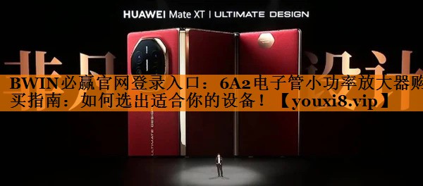 6A2电子管小功率放大器购买指南：如何选出适合你的设备！